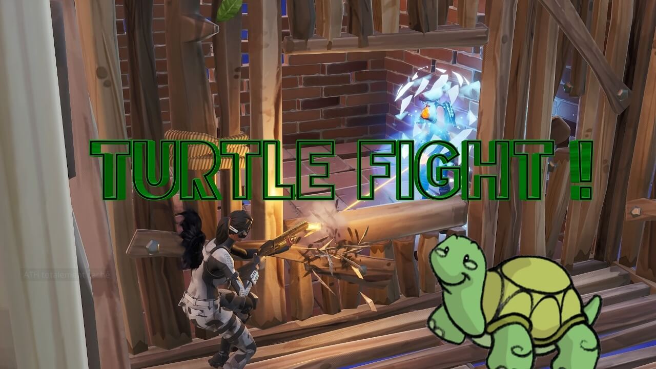 TURTLE FIGHT!